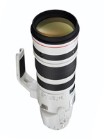 Canon EF 200-400 mm f/4 L IS USM EXT. 1.4�